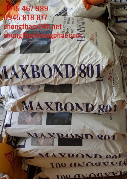 Maxbond 801- Vữa dán gạch đá