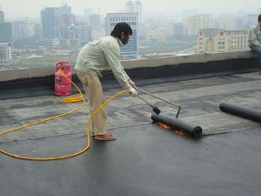 Cac loai mang chong tham pho bien